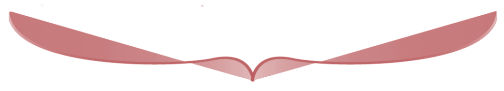 Logo Flügel Karin Schneider-Jundt