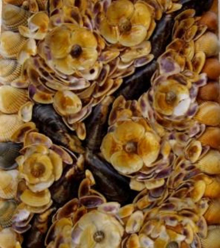 Dekorationskunst Muschelmosaik