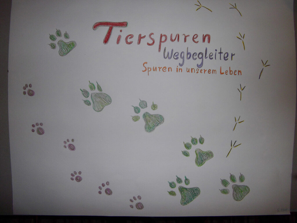 Franziskusgärtchen Tierspuren Hund, Katze, Vogel